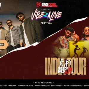 Vibezalive Festival Pune