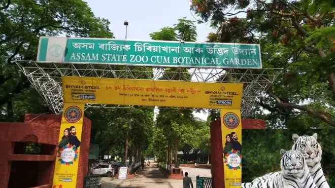 Assam State Zoo Guwahati