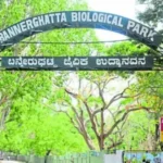 Bannerghatta Biological Park Bangalore