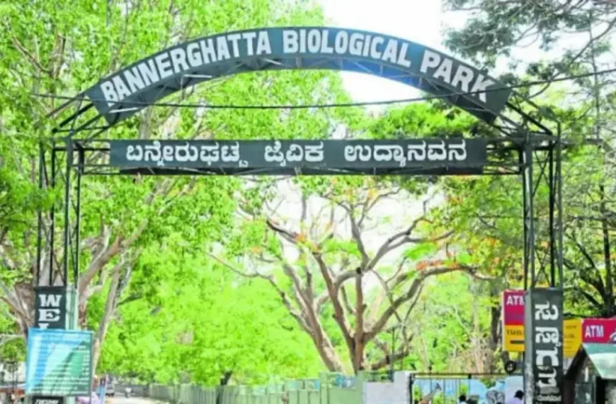 Bannerghatta Biological Park Bangalore