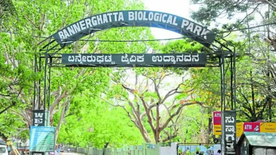 Bannerghatta Biological Park Bangalore