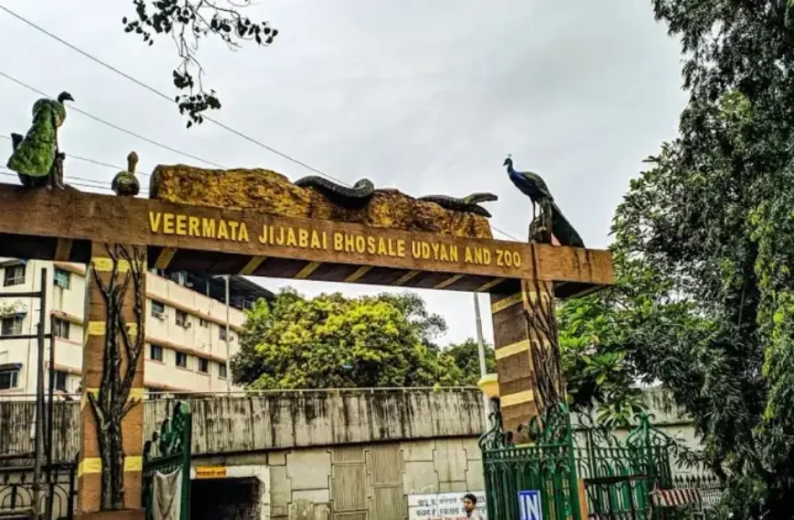 Byculla Zoo Mumbai