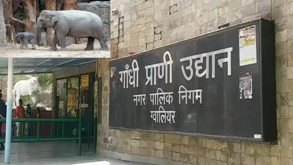 Gwalior Zoo