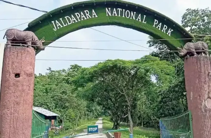 Jaldapara National Park Zoo West Bengal