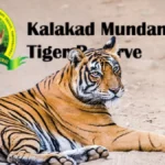 Kalakad Mundanthurai Tiger Reserve (KMTR)