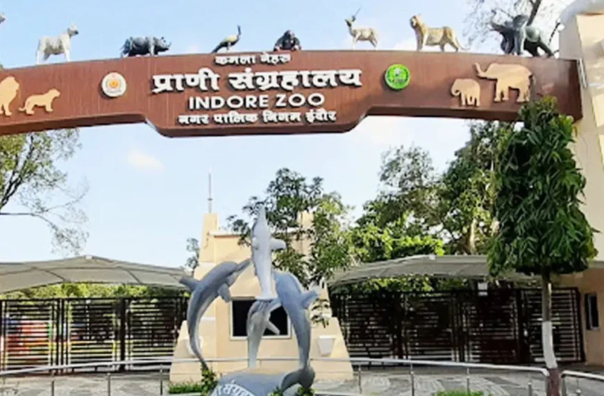 Kamla Nehru Zoo Indore