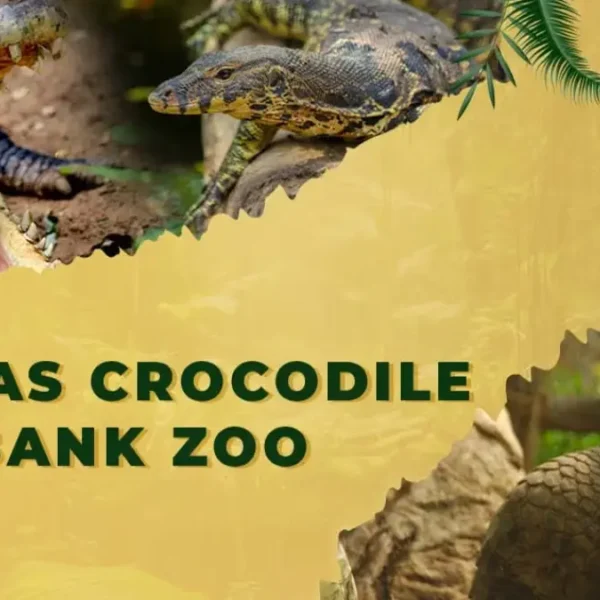 Madras Crocodile Bank