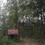 Mahananda Wildlife Sanctuary Siliguri