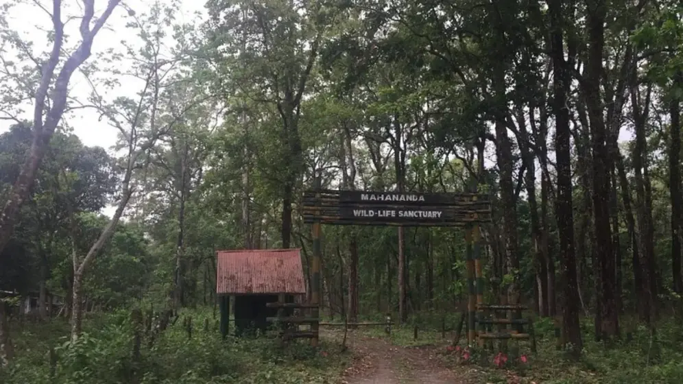 Mahananda Wildlife Sanctuary Siliguri