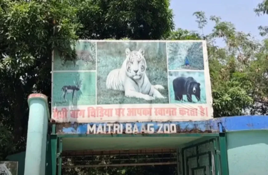 Maitri Bagh Zoo Durg