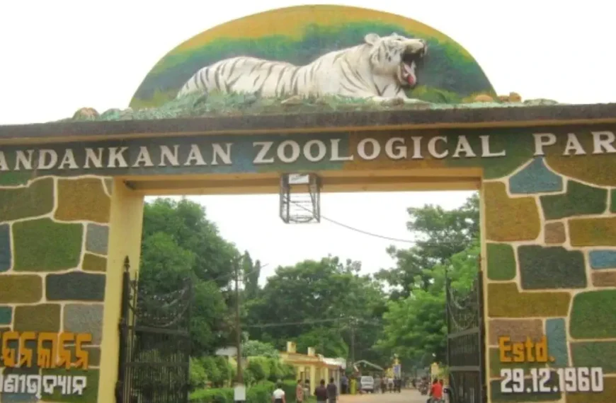 Nandankanan Zoological Park Bhubaneswar