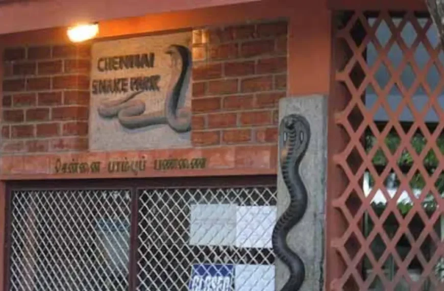 Snake Park Chennai