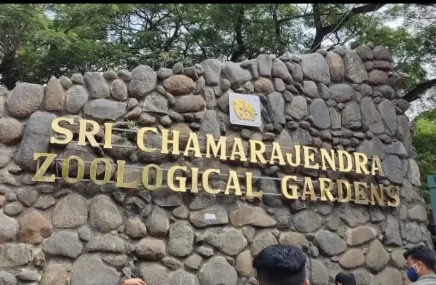 Sri Chamarajendra Park Zoo Mysore
