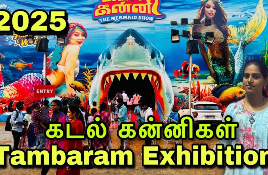 Mermaid Show: Tambaram Underwater Aquarium Chennai
